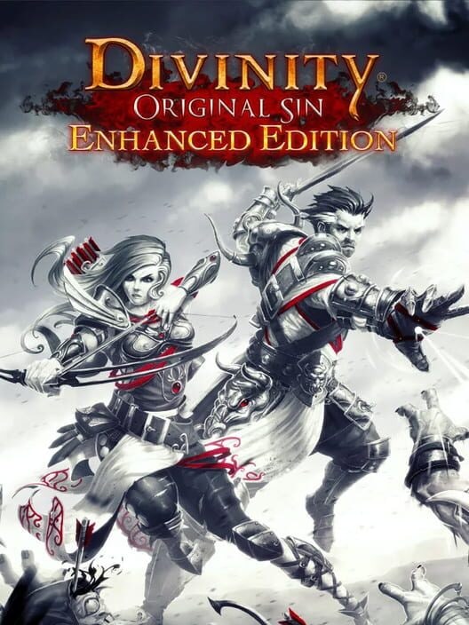 Divinity: Original Sin Enhanced Edition cover
